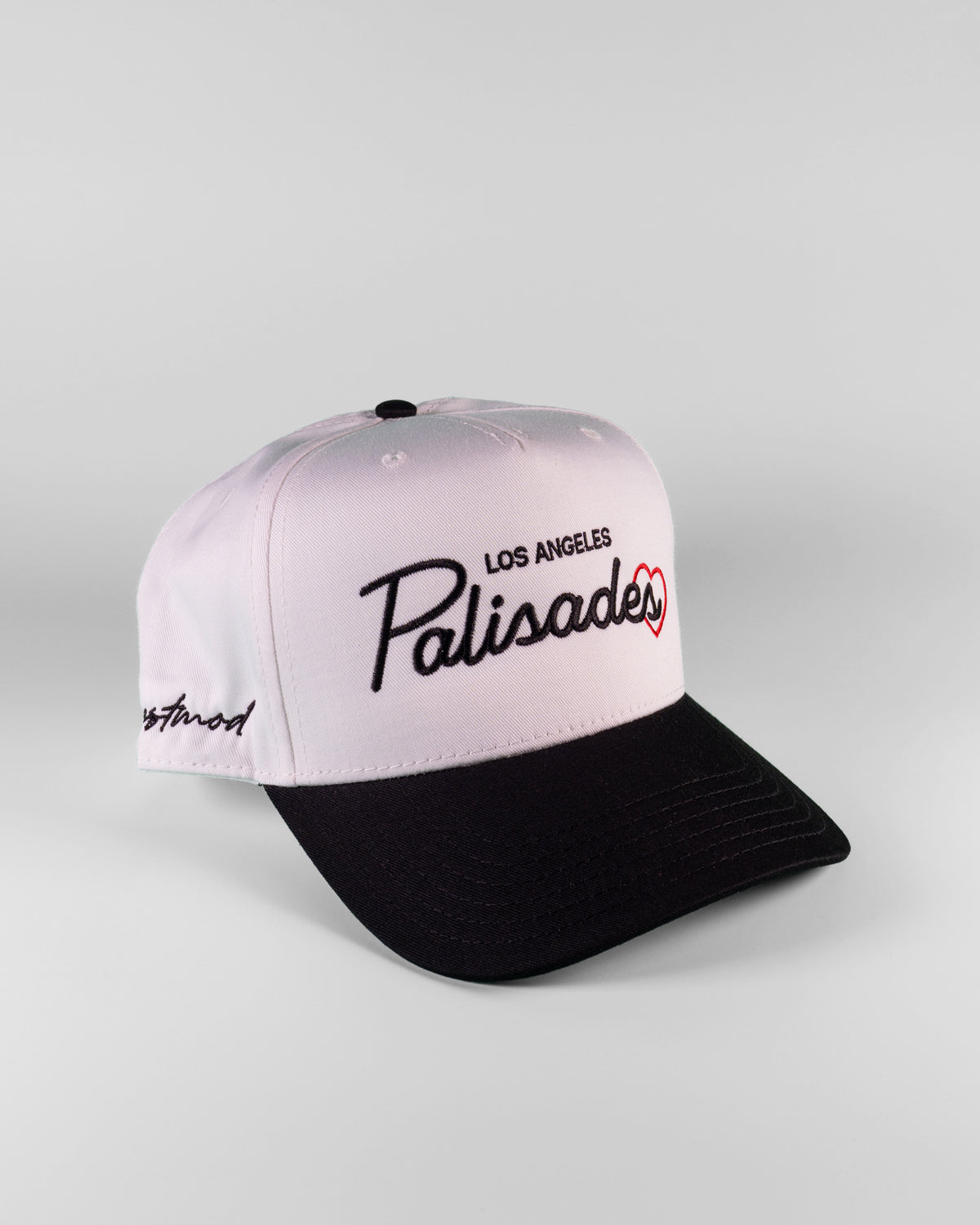 We Love Palisades (Alternative)